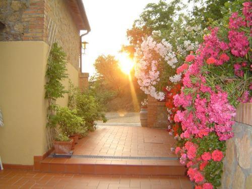 Agriturismo Colombaiolo Πιέντσα Εξωτερικό φωτογραφία