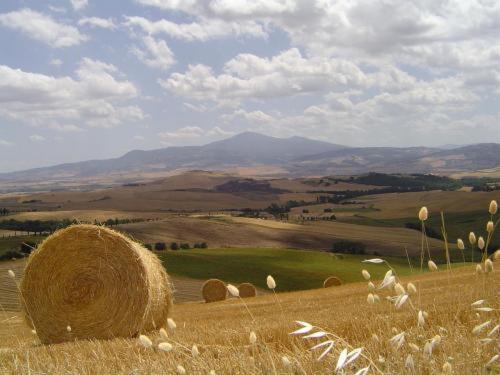 Agriturismo Colombaiolo Πιέντσα Εξωτερικό φωτογραφία