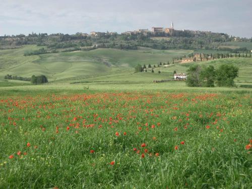 Agriturismo Colombaiolo Πιέντσα Εξωτερικό φωτογραφία