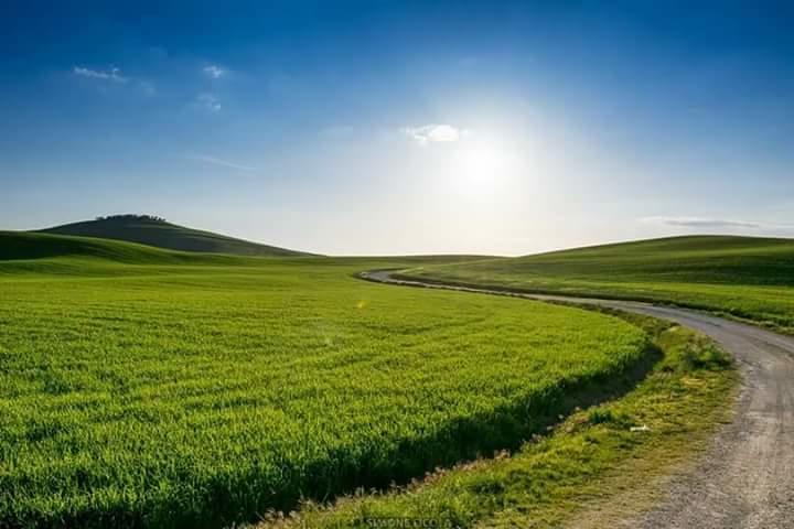 Agriturismo Colombaiolo Πιέντσα Εξωτερικό φωτογραφία
